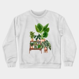 House plants collection 40.4 Crewneck Sweatshirt